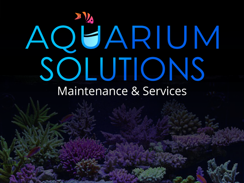 Aquarium Solutions - Maintenance & Services