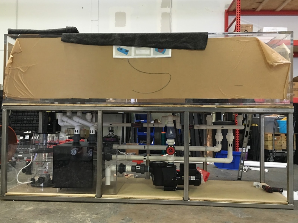 Aquarium Reef Illusions