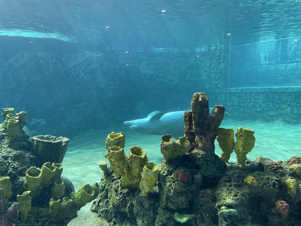 Discovery Point San Antonio