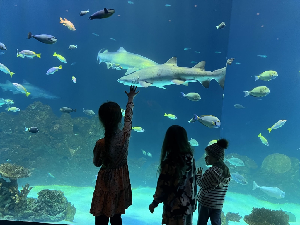 Sobela Ocean Aquarium