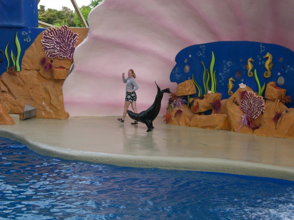 Sea Lion and Seal Feeder Pool