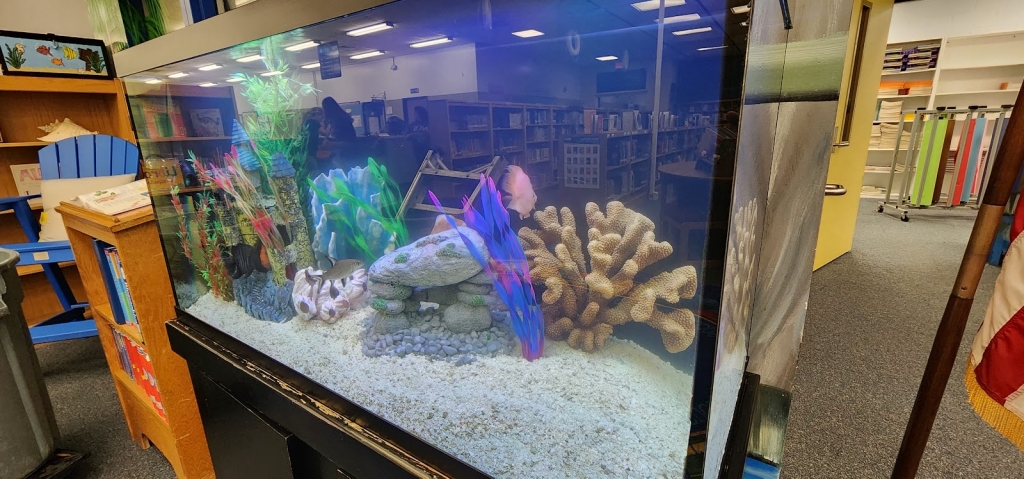 WETPETS Aquarium Services