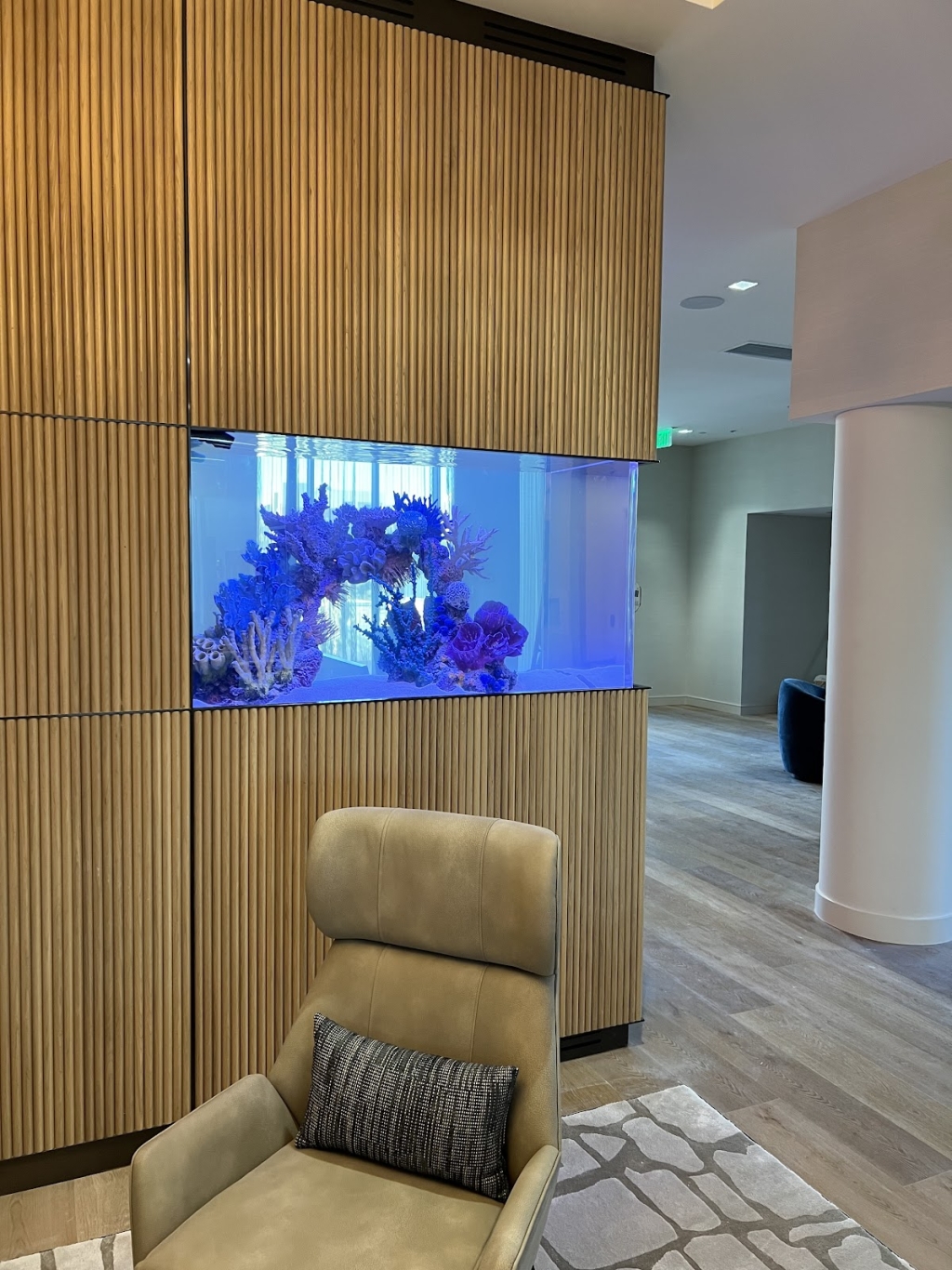 California Custom Aquariums