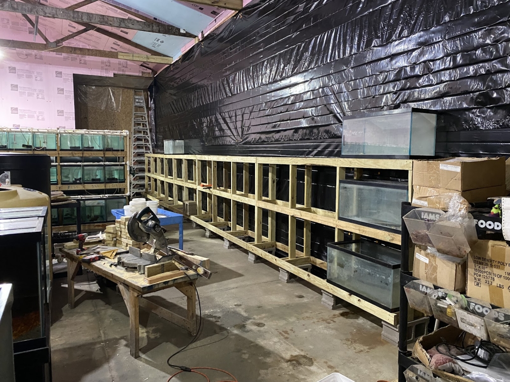 PJS Peces Tropicales