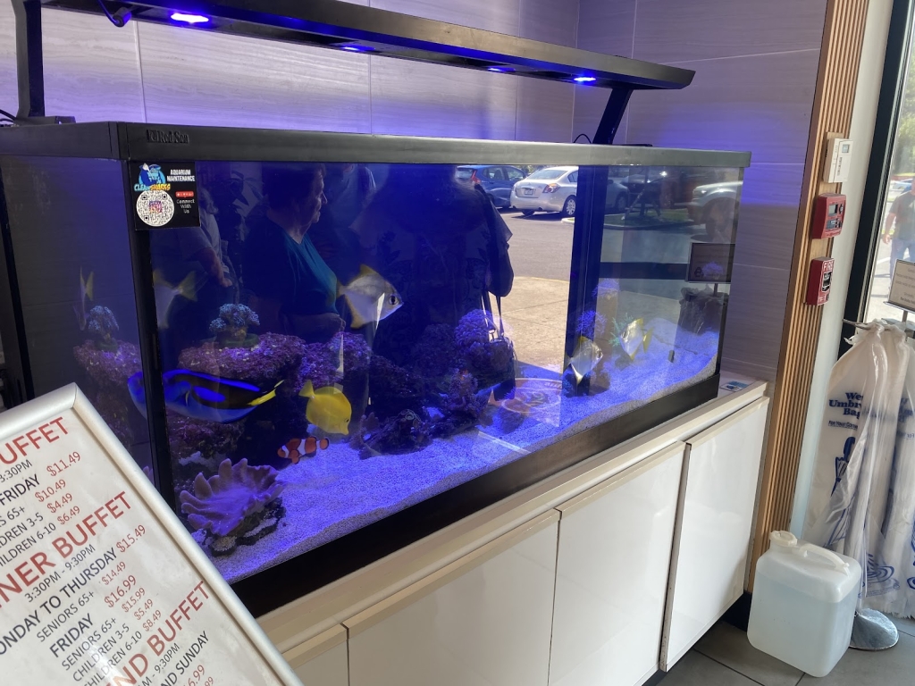 Clean Sharks Aquarium Maintenance