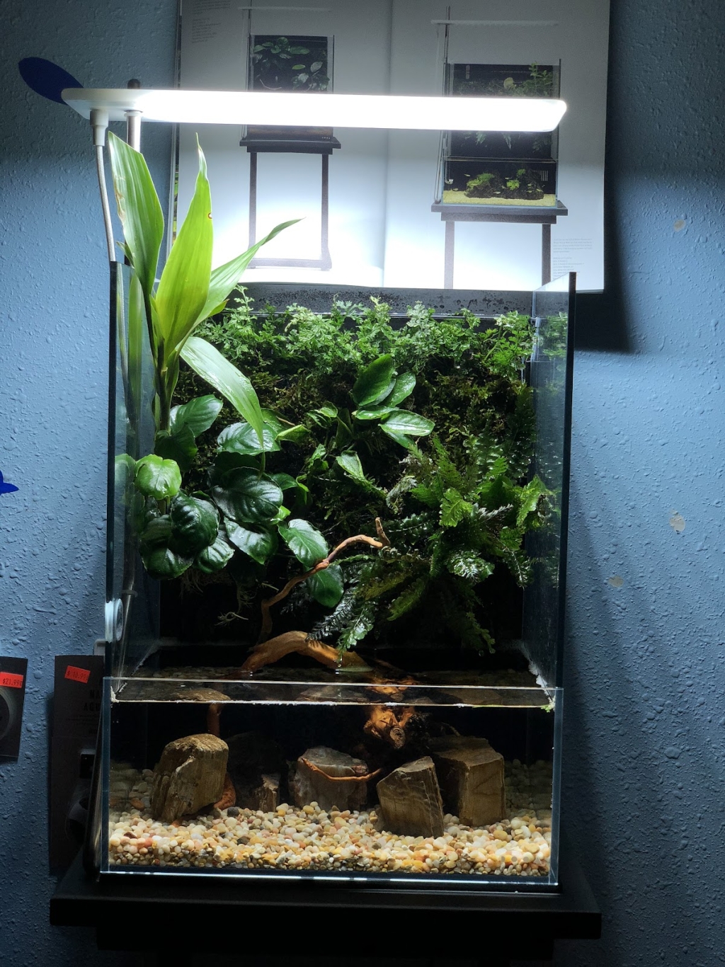 Aquascape Supply Co.