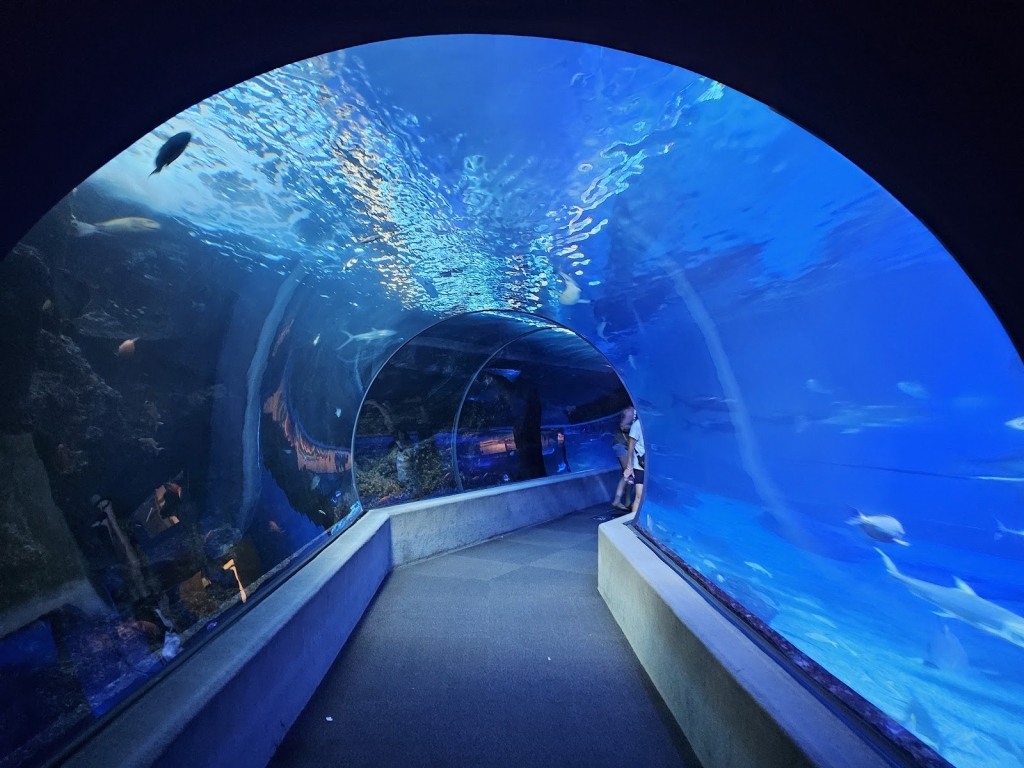 Centro Oceanográfico de Maui, El Acuario de Hawái