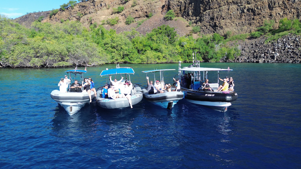 Descubrimientos de Delfines - Registro de Tour de Snorkel y Boutique