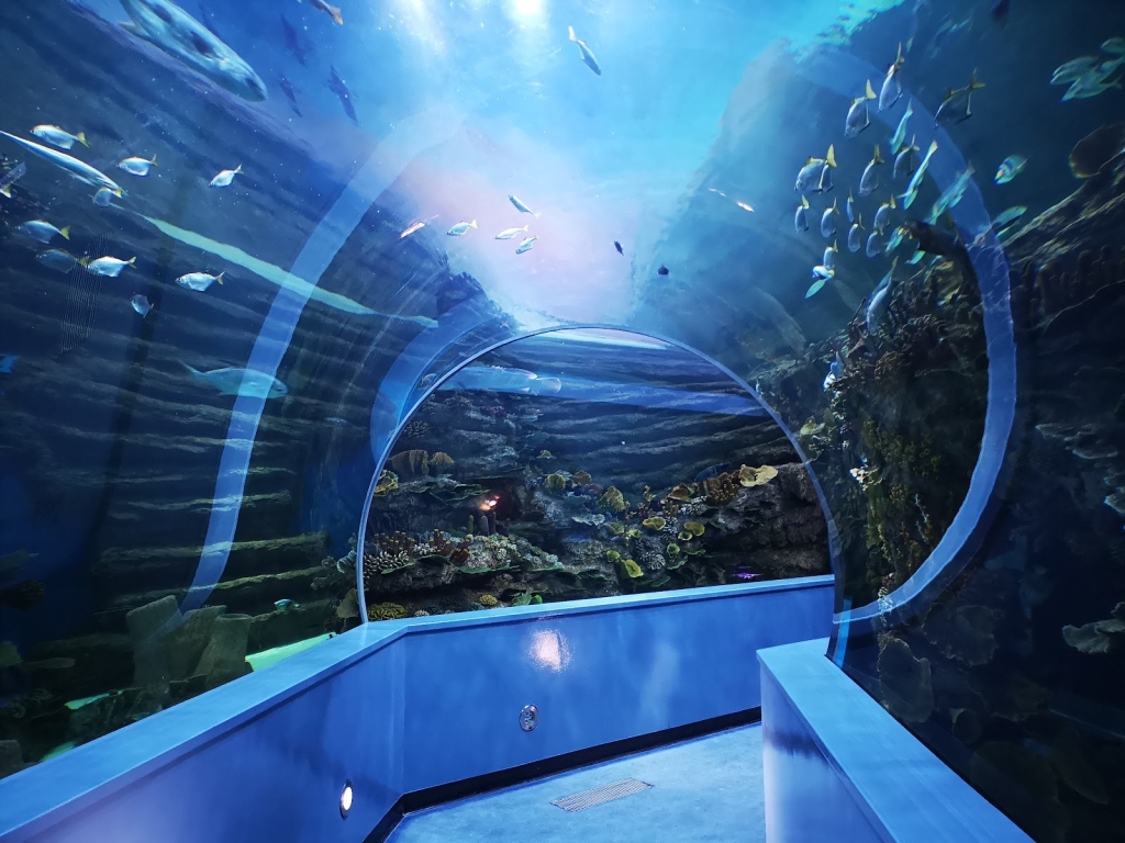 Acuario de Sharjah