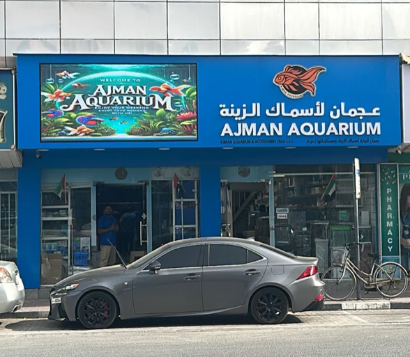 Acuario de Ajman