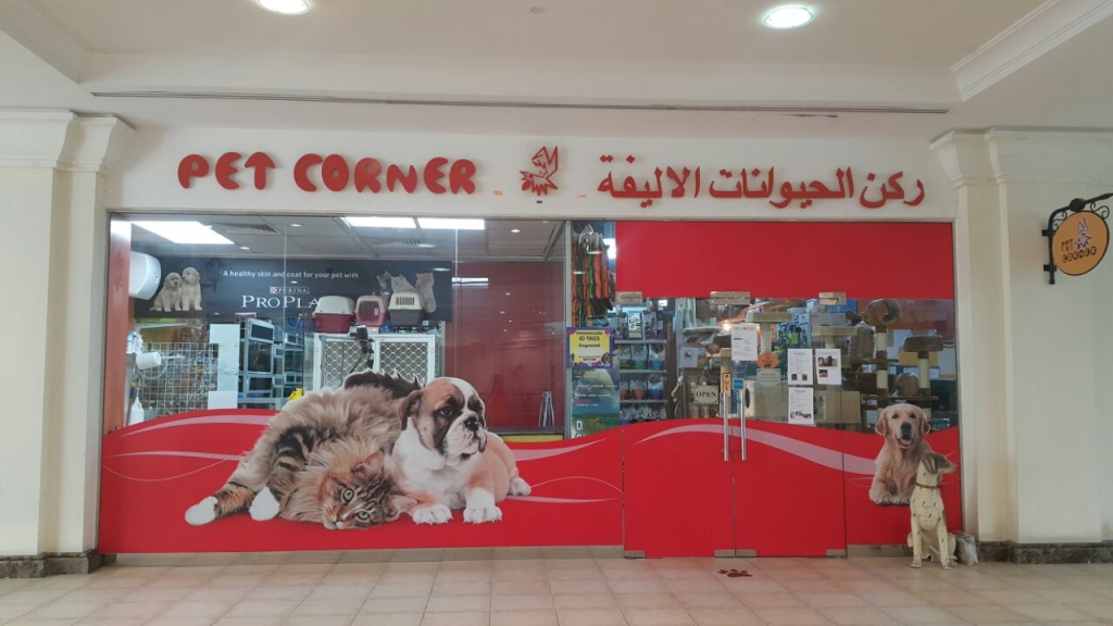 Venta de Almacén de Esquina de Mascotas (DIP) Tienda de Mascotas