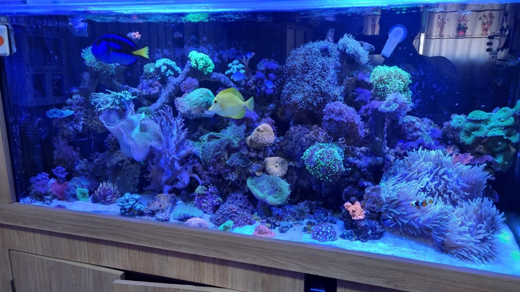 Acuario AquaT