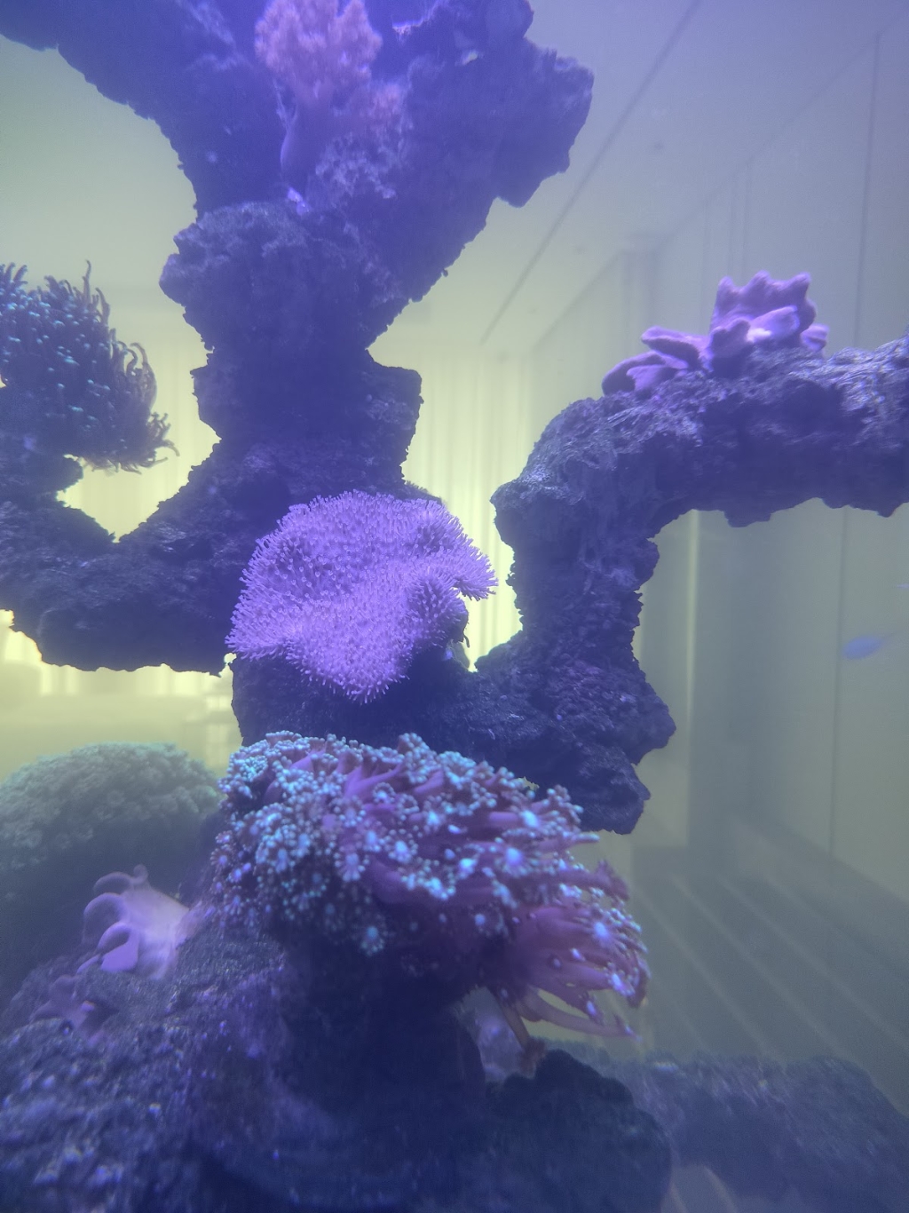 Aqua Art LLC - Aquarium Manufacturing Unit