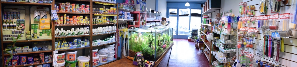 Acuario Arrecife