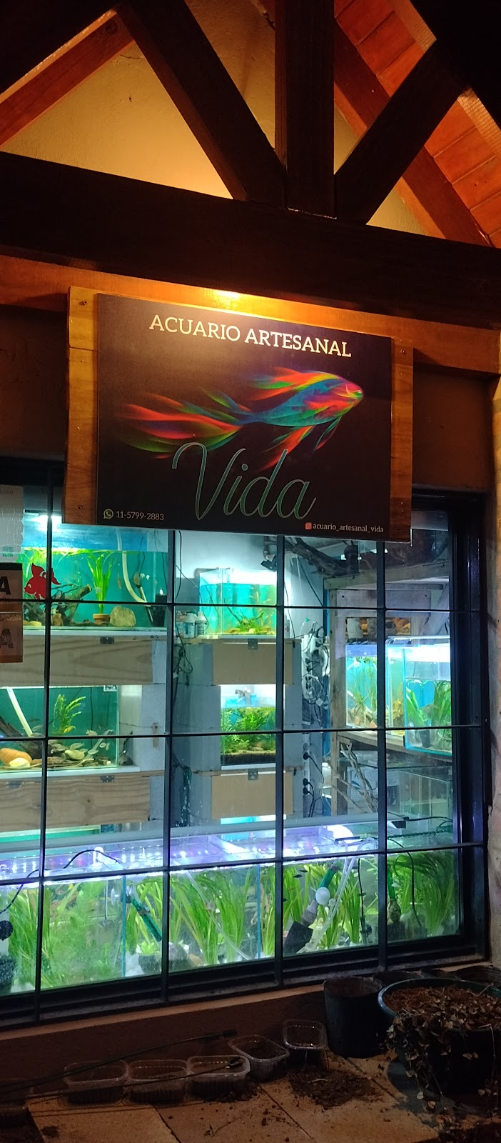 Acuario Artesanal Vida