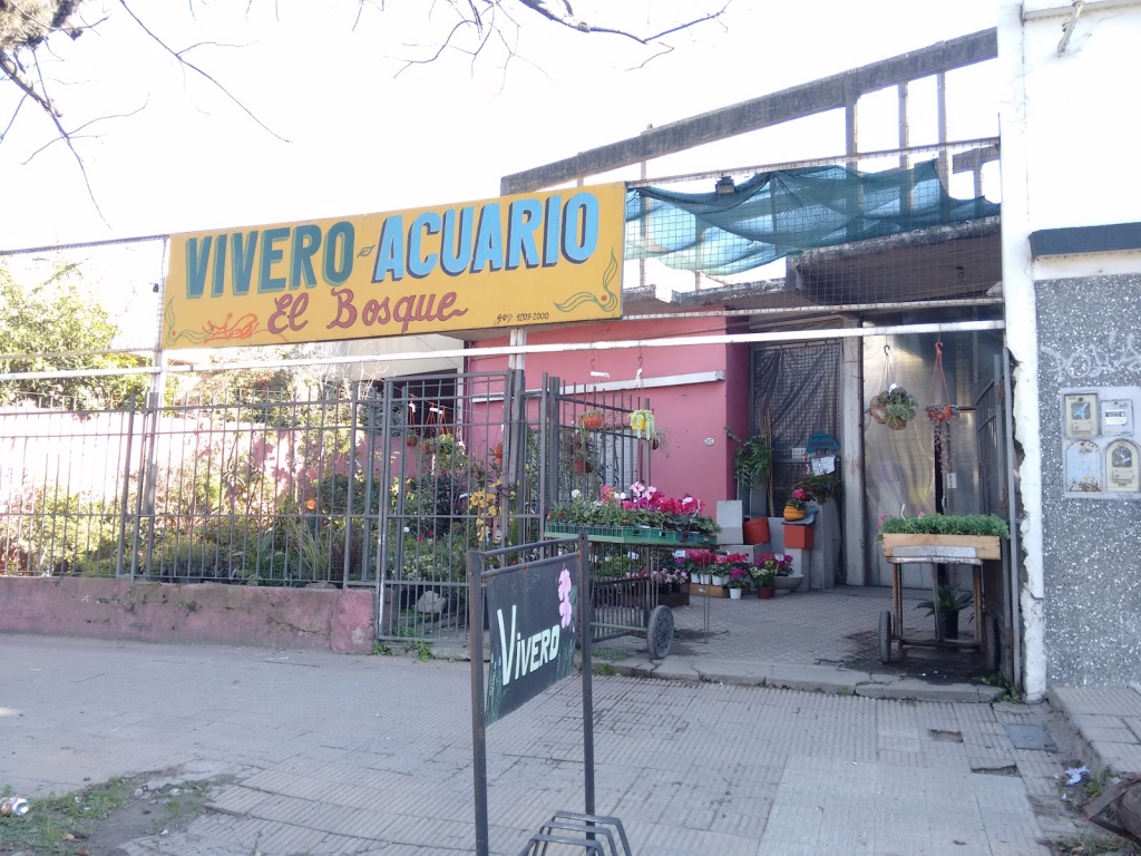 Aquarium The Forest Nursery