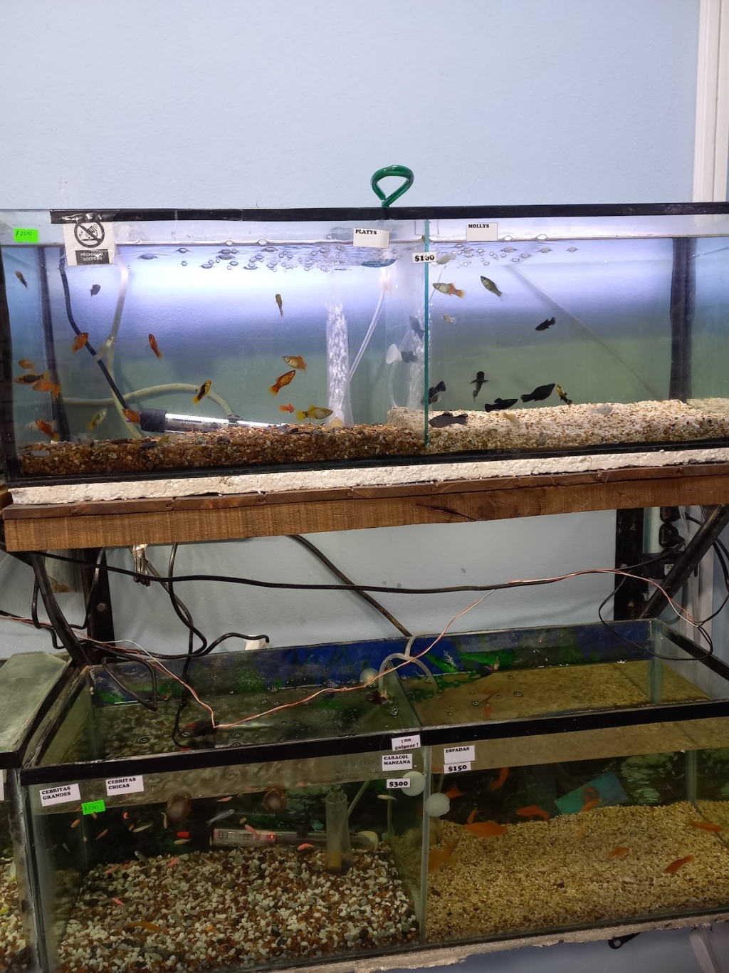 Aquariums of the Valley