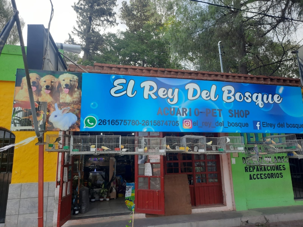 The King of the Forest - Pet Store