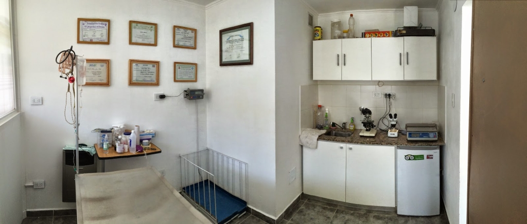 CVM - Merlo Veterinary Clinic