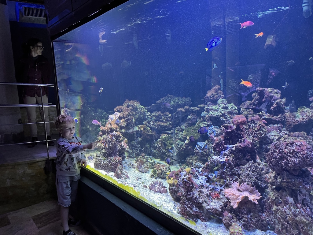 Acuario de la Universidad de Murcia