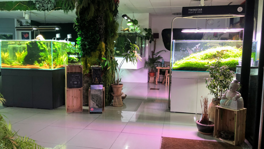 Kaminature - Jardines verticales, acuarios y césped artificial