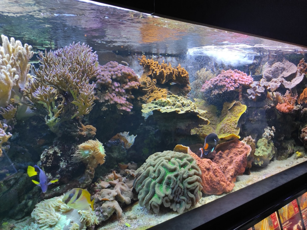 Acuario-Museo de Lieja