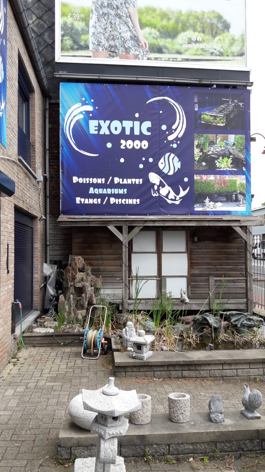 Exótico 2000