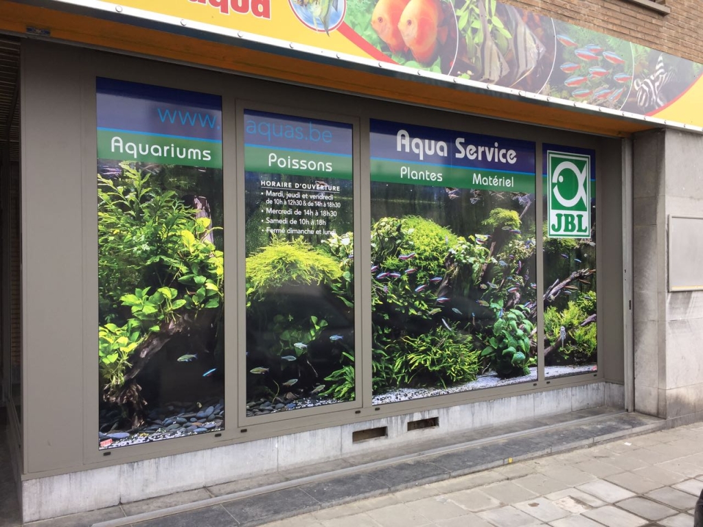 Aqua Service - Tienda de Acuarios