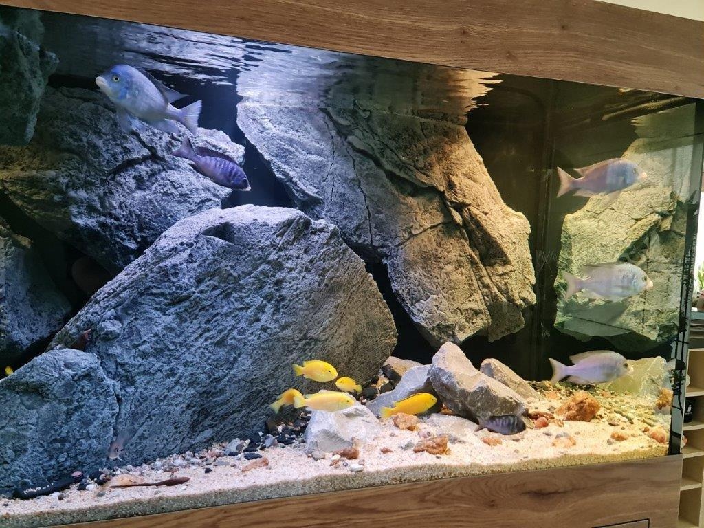 Aqualife NV