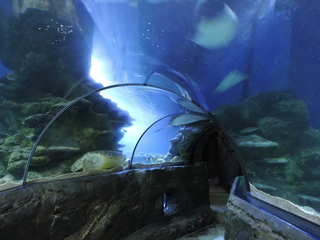 SEA LIFE Acuario de Londres