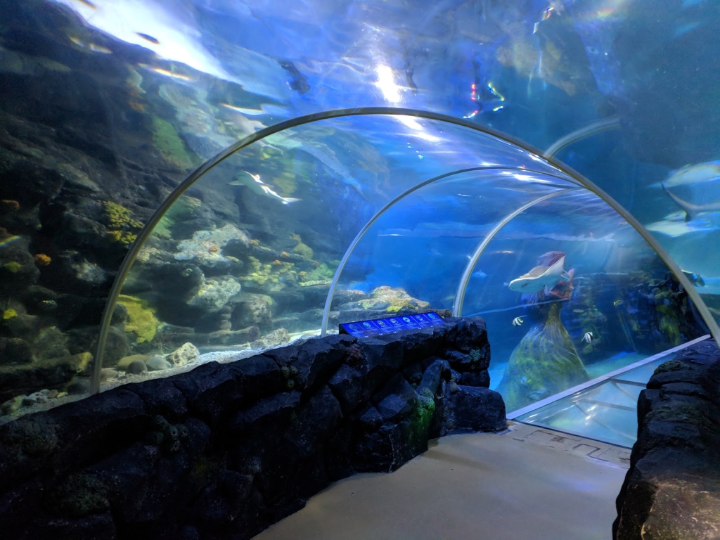 Centro Nacional SEA LIFE Birmingham