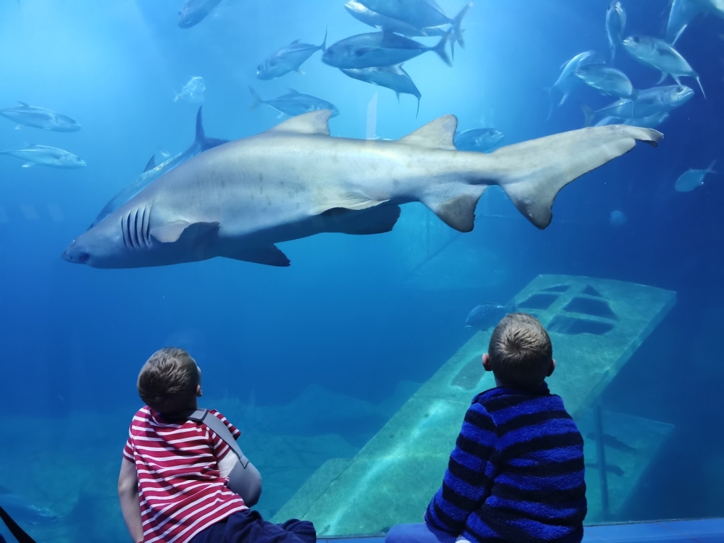 Acuario Nacional Marino