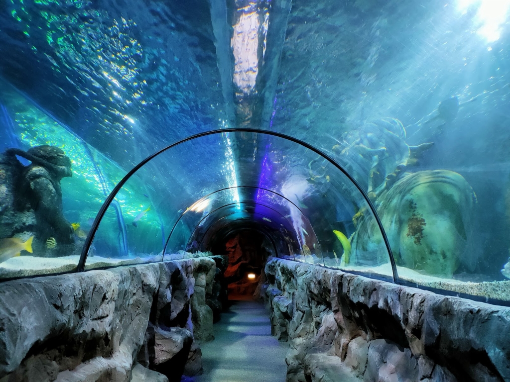 SEA LIFE Great Yarmouth