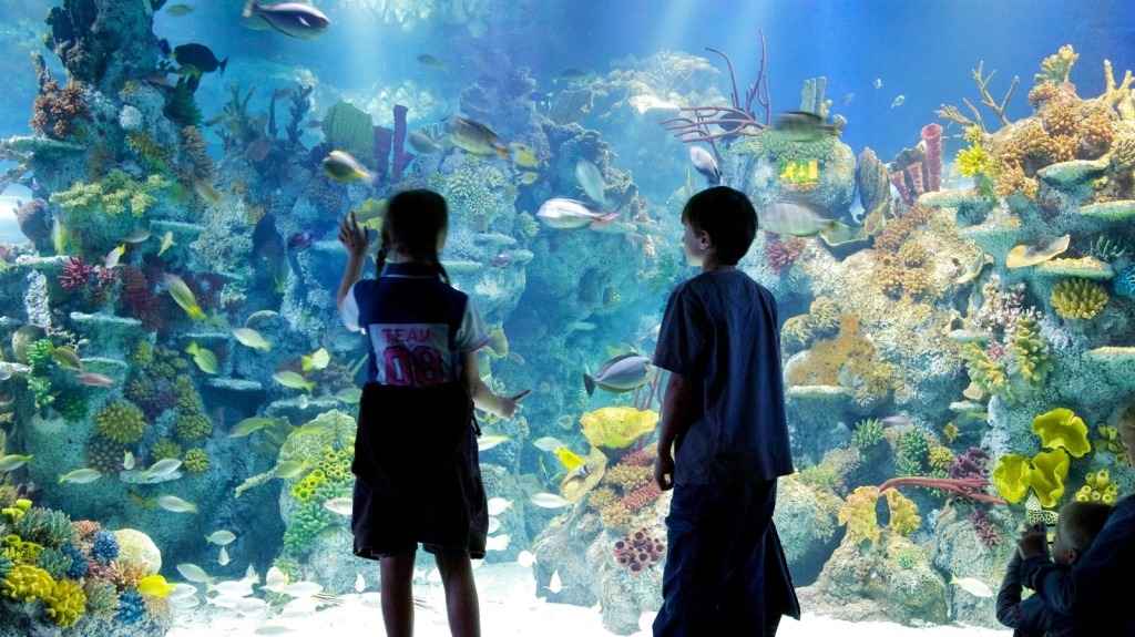 Acuario de Bristol