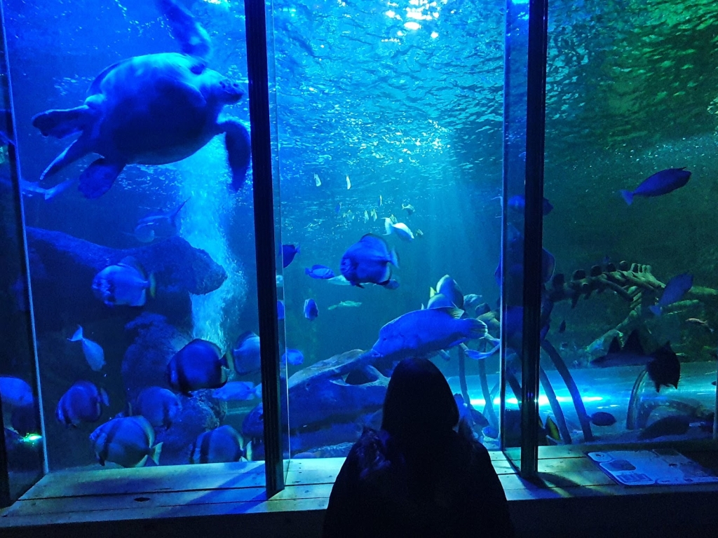 SEA LIFE Hunstanton