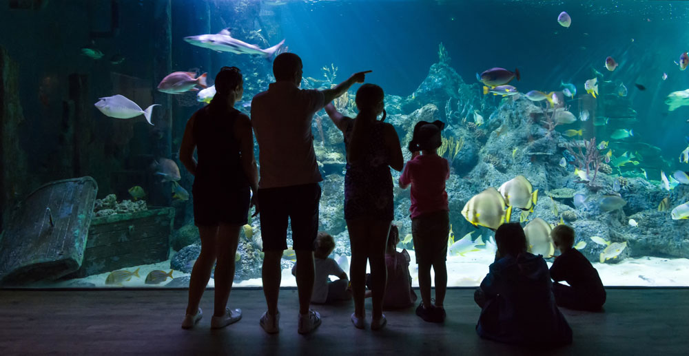 Acuario de Skegness