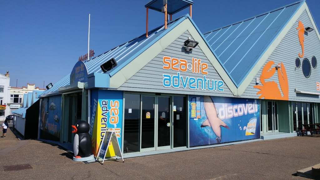 Sealife Adventure