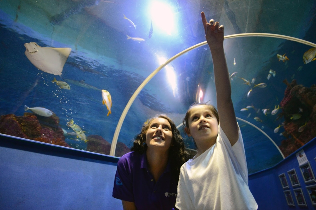 Acuario de Tynemouth