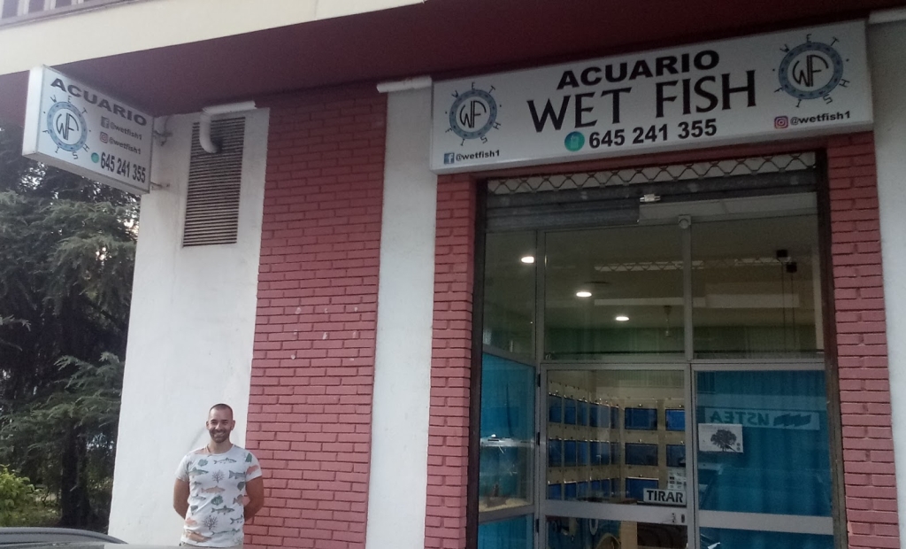 Wet Fish