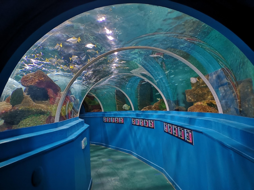 Acuario Blue Reef Portsmouth