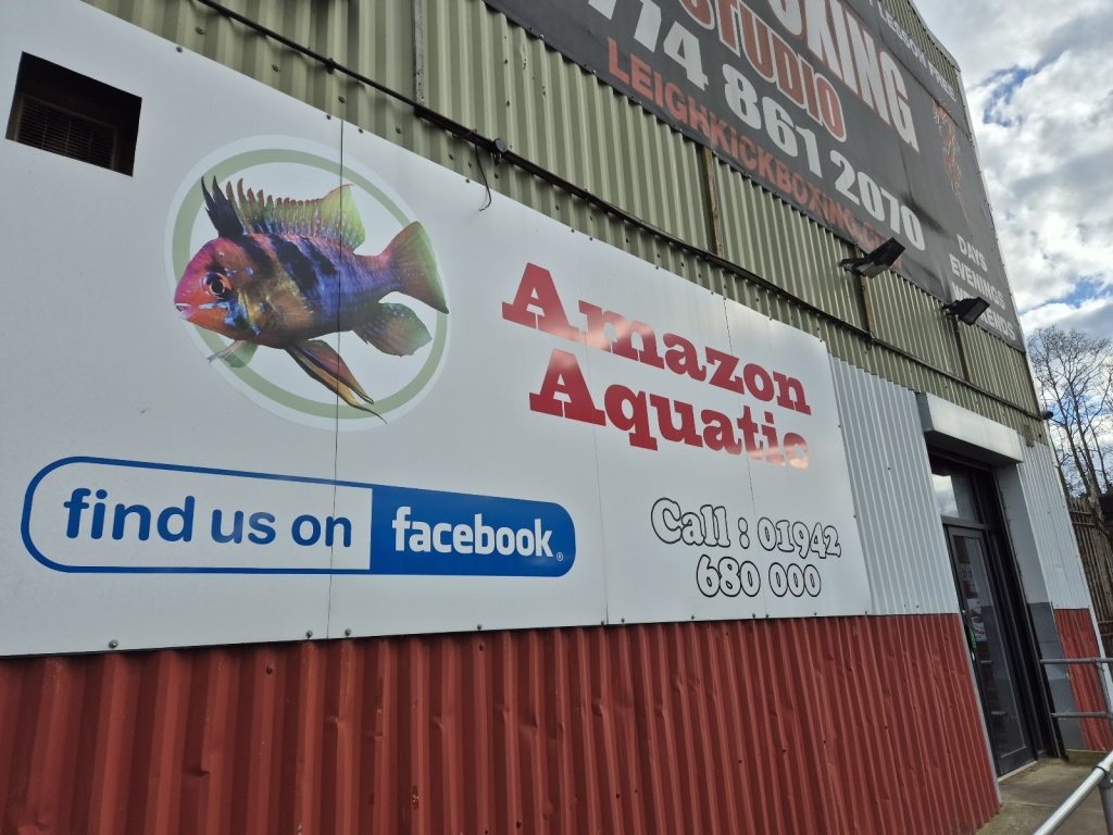 Acuarios Amazónicos