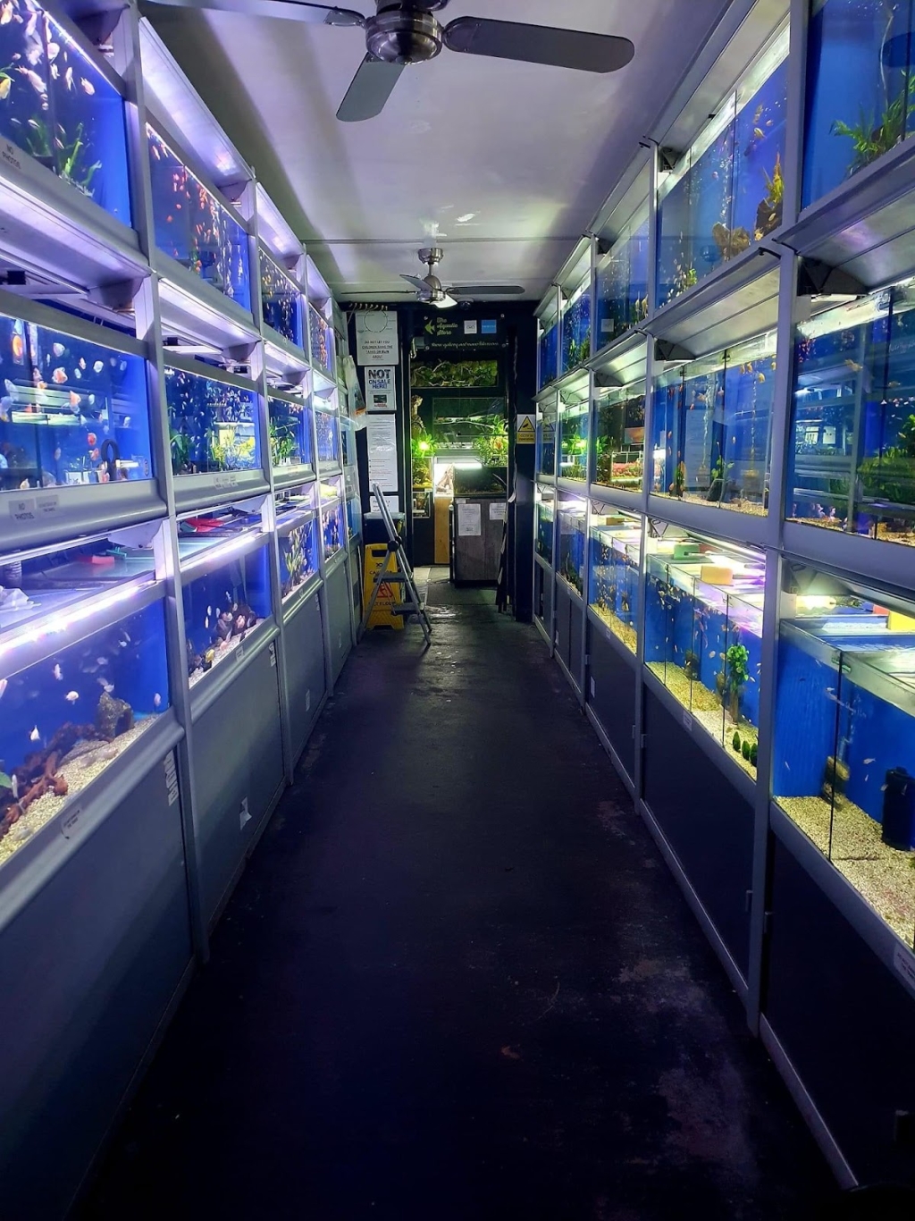 La Tienda Acuática