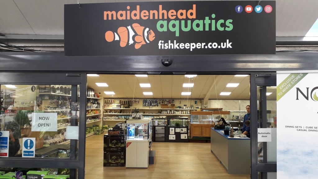 Maidenhead Aquatics Enfield