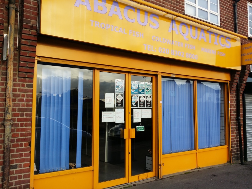 Abacus Aquatics