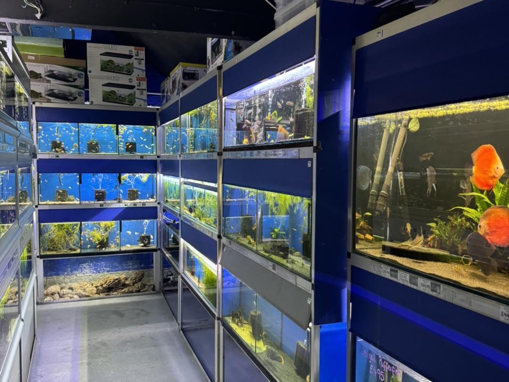 The Fish Den Aquatics Ltd