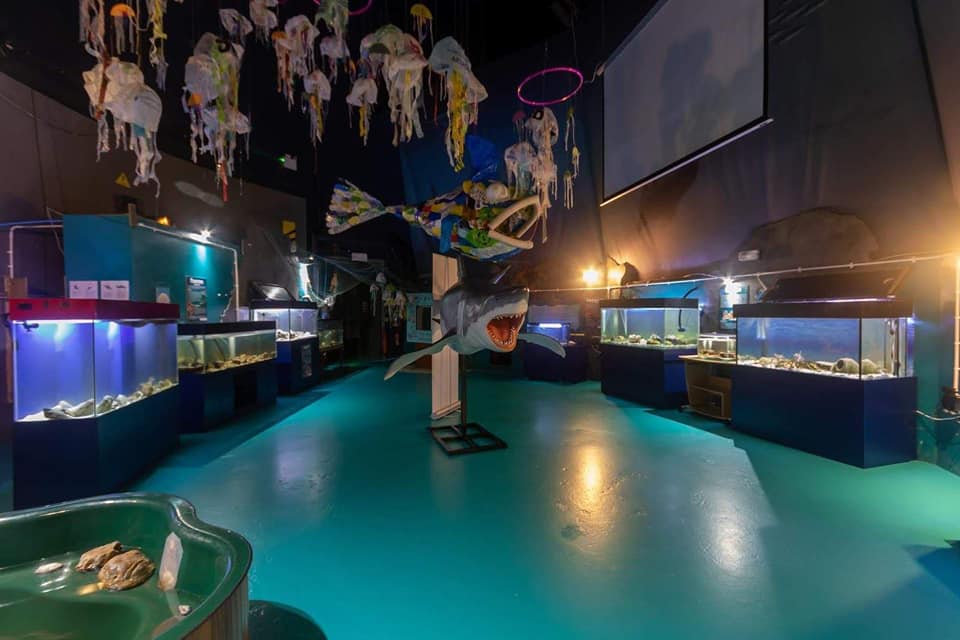 Ocean Lab - Sea Trust Wales