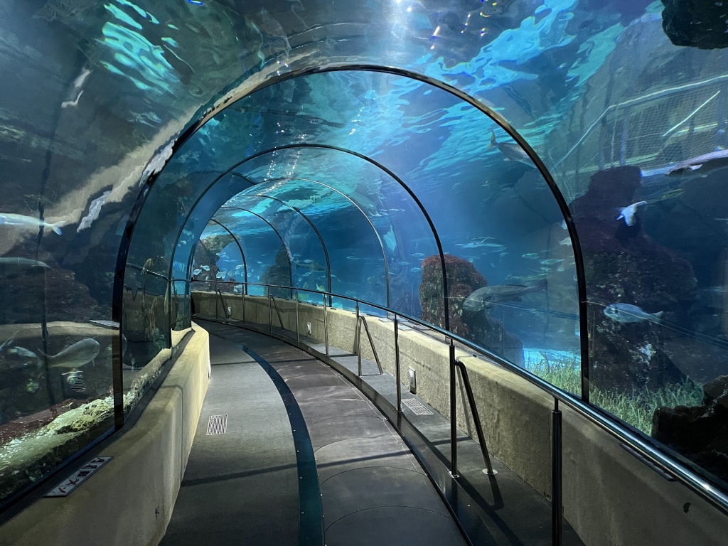 L’Aquàrium de Barcelona