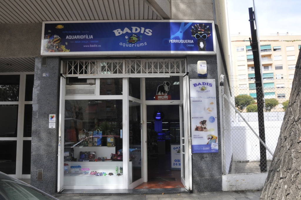 Acuarios Badis