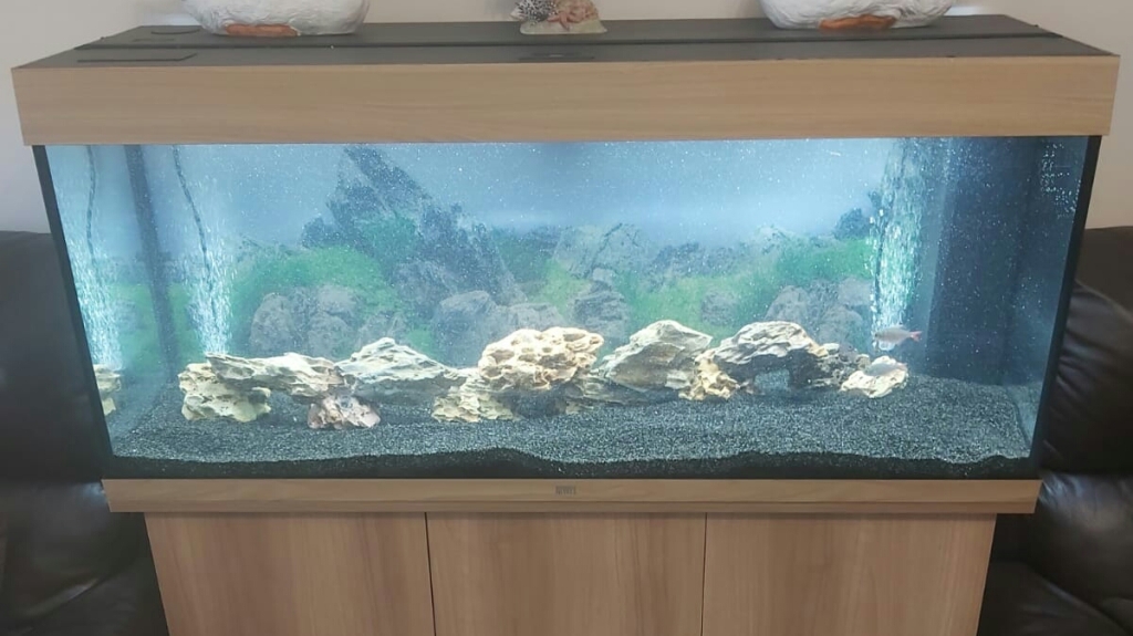 Aqua la Vista