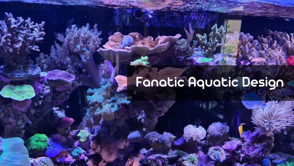 Fanatic Aquatic Design Ltd